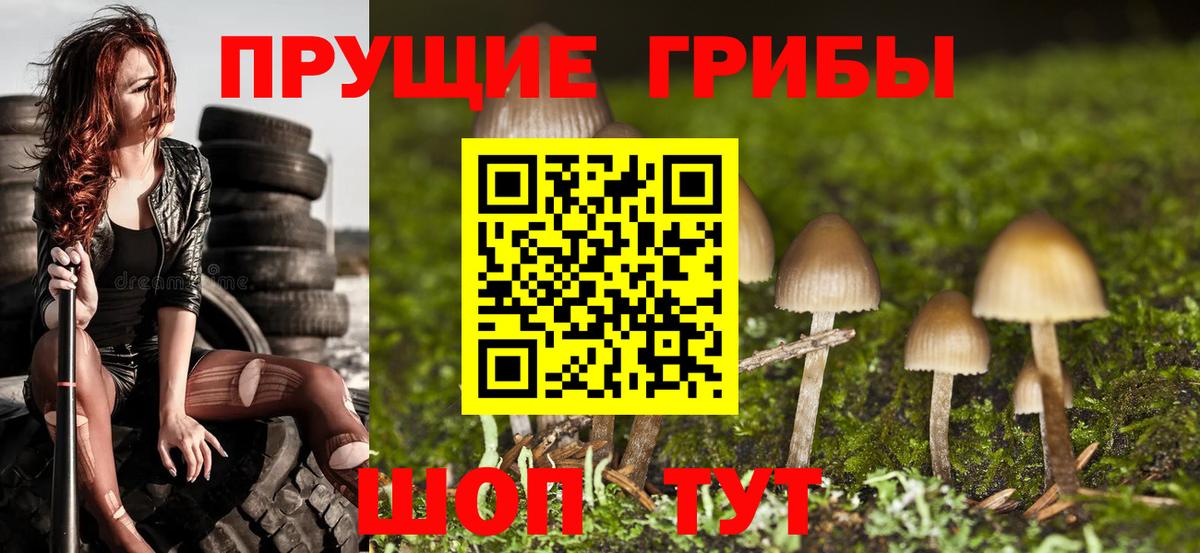 Псилоцибиновые грибы Psilocybe  Вход с VPN  дарнет шоп  Псилоцибиновые грибы ЛСД  Дзержинский 